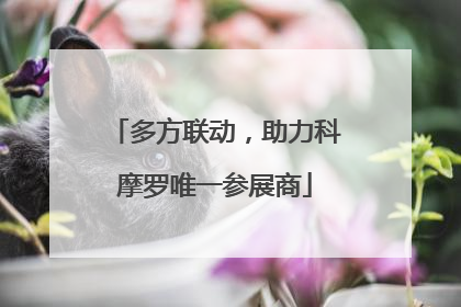 多方联动，助力科摩罗唯一参展商