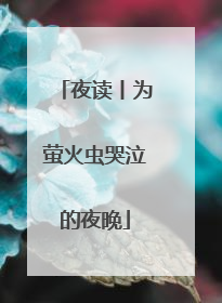 夜读丨为萤火虫哭泣的夜晚