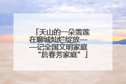 天山的一朵雪莲在聊城灿烂绽放——记全国文明家庭“詹春芳家庭”