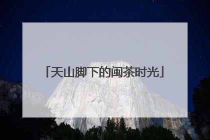天山脚下的闽茶时光