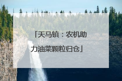 天马镇：农机助力油菜颗粒归仓