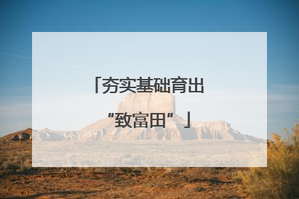 夯实基础育出“致富田”