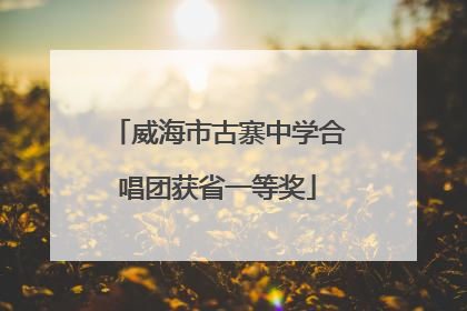 威海市古寨中学合唱团获省一等奖