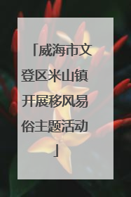 威海市文登区米山镇开展移风易俗主题活动