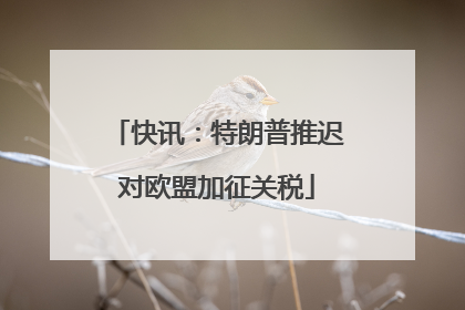 快讯：特朗普推迟对欧盟加征关税