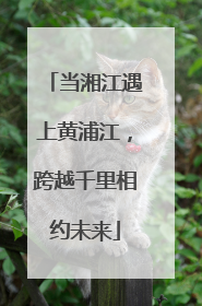 当湘江遇上黄浦江，跨越千里相约未来