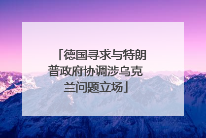德国寻求与特朗普政府协调涉乌克兰问题立场