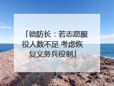 德防长：若志愿服役人数不足 考虑恢复义务兵役制