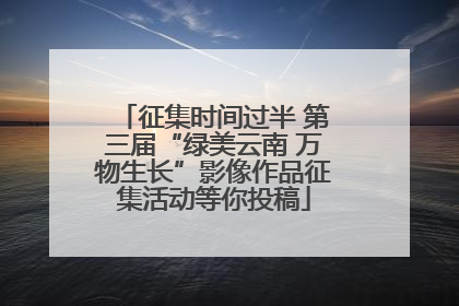 征集时间过半 第三届“绿美云南 万物生长”影像作品征集活动等你投稿