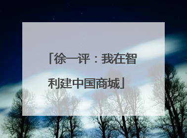 徐一评：我在智利建中国商城
