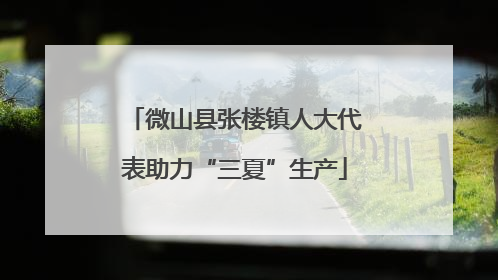 微山县张楼镇人大代表助力“三夏”生产