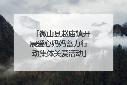微山县赵庙镇开展爱心妈妈蓄力行动集体关爱活动