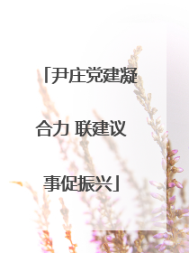 尹庄党建凝合力 联建议事促振兴