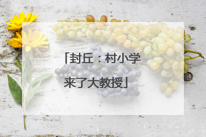 封丘：村小学来了大教授