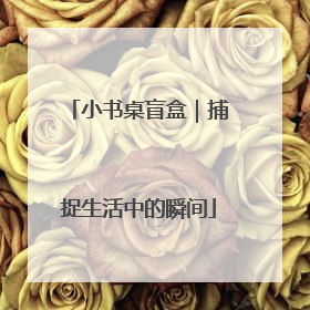 小书桌盲盒｜捕捉生活中的瞬间