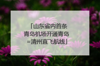 山东省内首条 青岛机场开通青岛=清州直飞航线