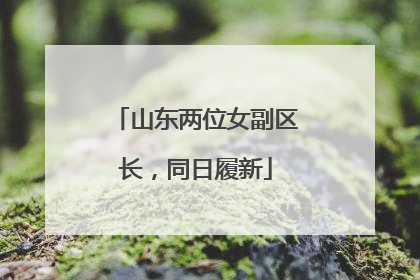 山东两位女副区长，同日履新