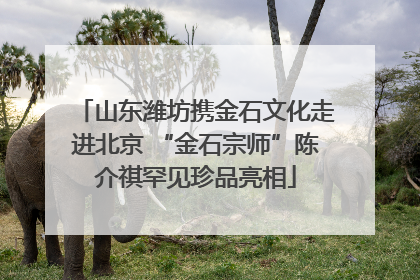 山东潍坊携金石文化走进北京 “金石宗师”陈介祺罕见珍品亮相