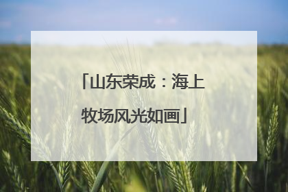 山东荣成：海上牧场风光如画