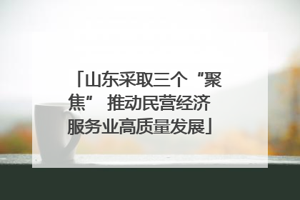 山东采取三个“聚焦” 推动民营经济服务业高质量发展