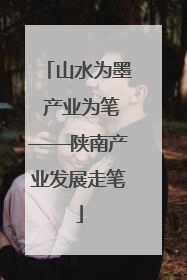 山水为墨 产业为笔——陕南产业发展走笔