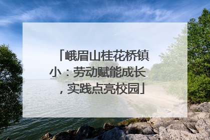 峨眉山桂花桥镇小：劳动赋能成长，实践点亮校园