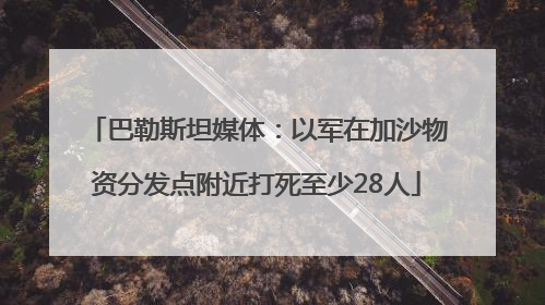 巴勒斯坦媒体：以军在加沙物资分发点附近打死至少28人