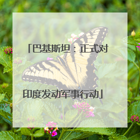 巴基斯坦：正式对印度发动军事行动