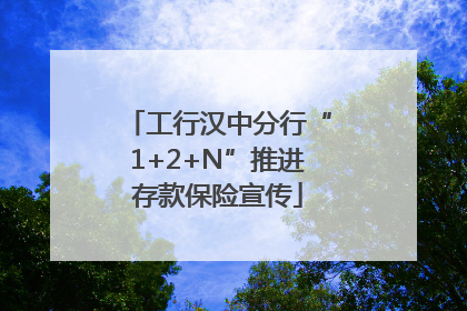 工行汉中分行“1+2+N”推进存款保险宣传