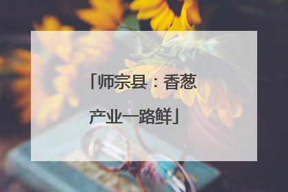 师宗县：香葱产业一路鲜