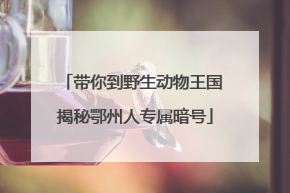 带你到野生动物王国揭秘鄂州人专属暗号