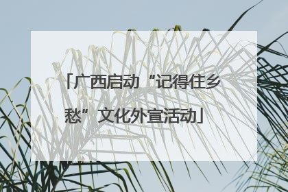 广西启动“记得住乡愁”文化外宣活动