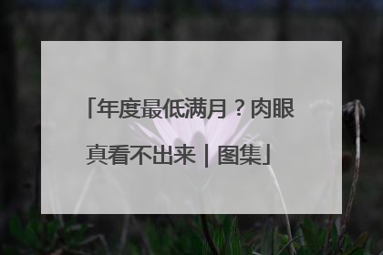 年度最低满月？肉眼真看不出来｜图集