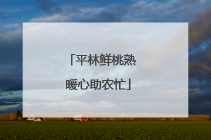平林鲜桃熟 暖心助农忙