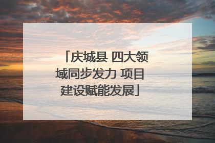 庆城县 四大领域同步发力 项目建设赋能发展