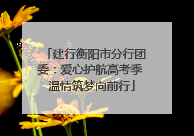 建行衡阳市分行团委：爱心护航高考季 温情筑梦向前行