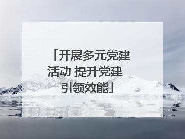 开展多元党建活动 提升党建 引领效能