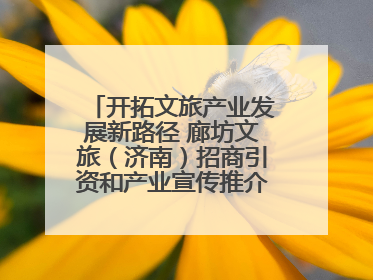 开拓文旅产业发展新路径 廊坊文旅（济南）招商引资和产业宣传推介活动举行