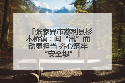 张家界市慈利县杉木桥镇：闻“汛”而动显担当 齐心筑牢“安全堤”