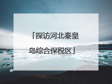 探访河北秦皇岛综合保税区