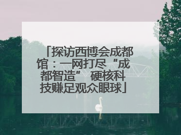 探访西博会成都馆：一网打尽“成都智造” 硬核科技赚足观众眼球