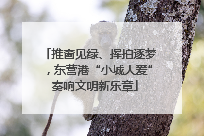 推窗见绿、挥拍逐梦，东营港“小城大爱”奏响文明新乐章