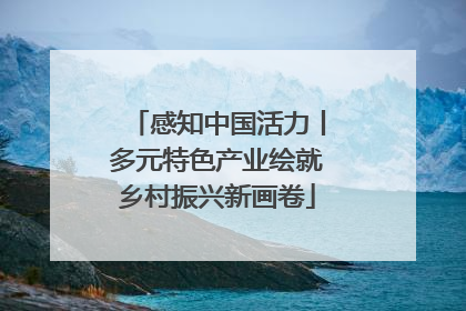 感知中国活力丨多元特色产业绘就乡村振兴新画卷