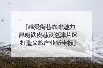 感受街巷咖啡魅力 昆明铁皮巷及巡津片区打造文旅产业新坐标