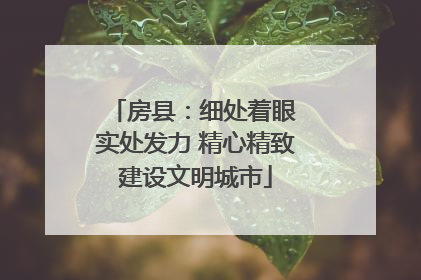 房县：细处着眼 实处发力 精心精致建设文明城市