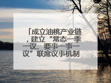 成立油桃产业链，建立“常态一季一议、要事一事一议”联席议事机制，山东省日照市莒县果庄镇——13个党小组“全周期”育果
