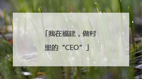 我在福建，做村里的“CEO”