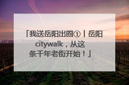 我送岳阳出圈①丨岳阳citywalk，从这条千年老街开始！
