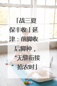 战三夏 保丰收丨延津：前脚收 后脚种，“无缝衔接”抢农时