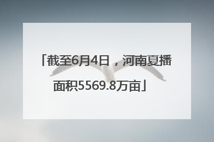 截至6月4日，河南夏播面积5569.8万亩